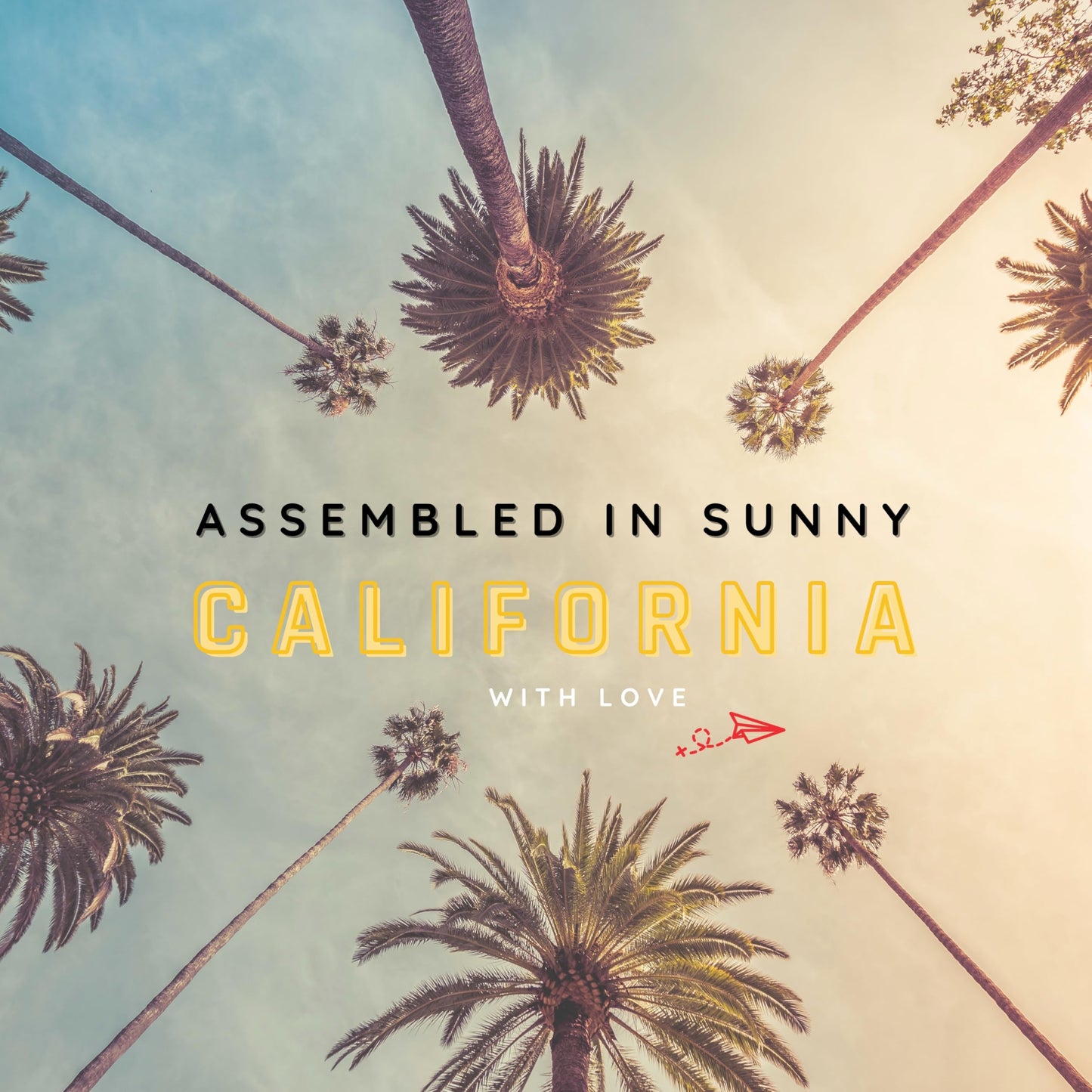 Essential Travel Medicine Kit, OTC Travel Medication, TSA Approved (Business | 18 Tablets)