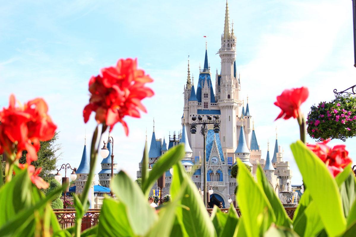 🏰 Disney Summer 2026: Everything New at Walt Disney World This Summer