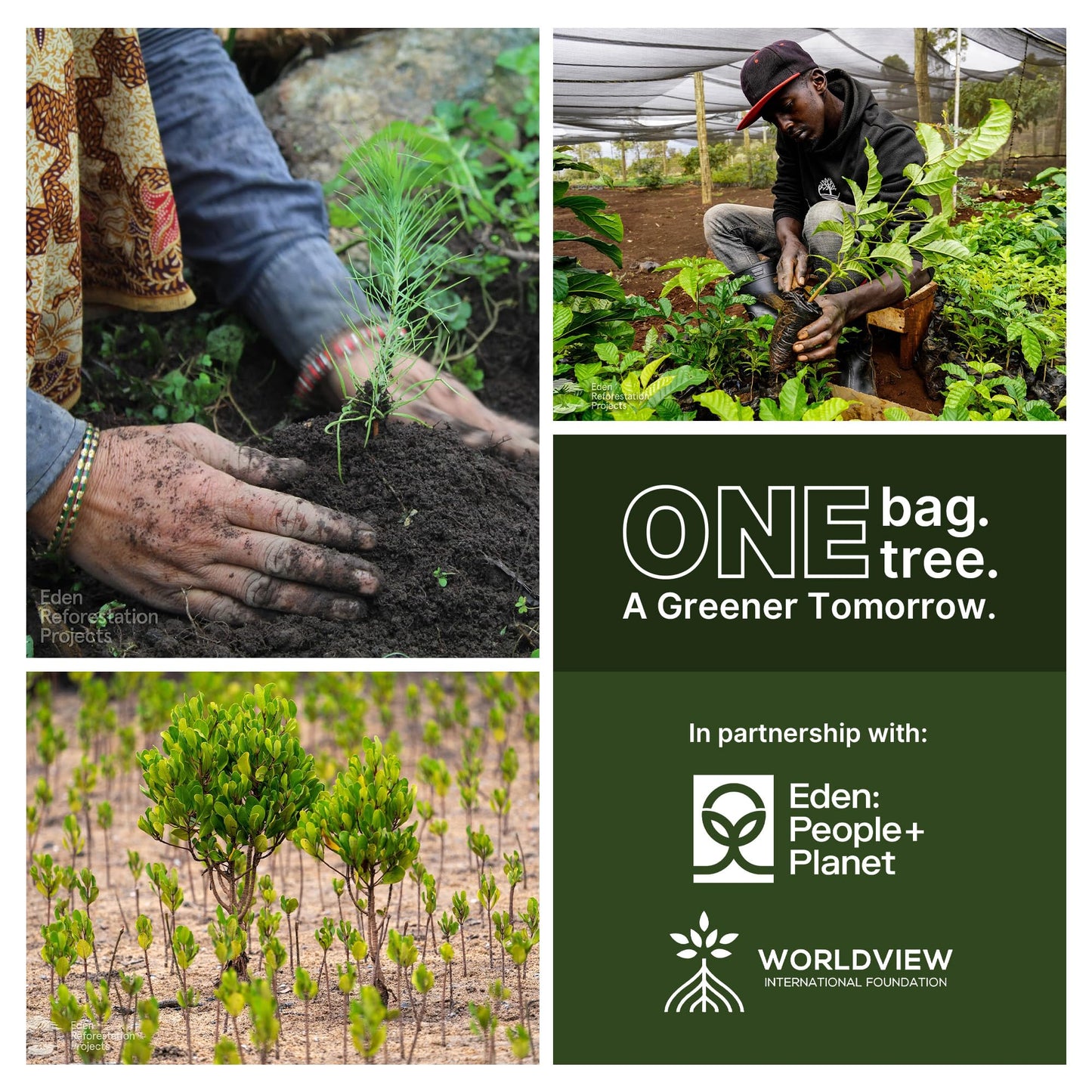 Nanobag Ultra-Lightweight Foldable Tote for Women & Men, Reusable Grocery & Travel Bag, Packable Collapsible Compact Market Essential (Standard Black)